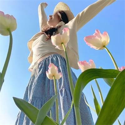圆梦公司 海报